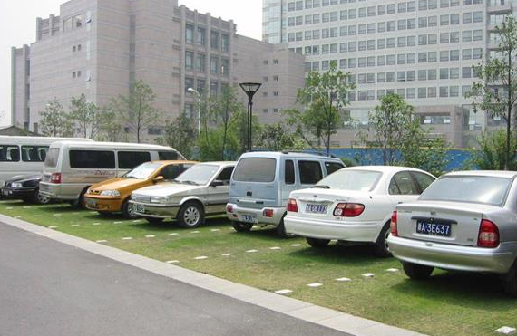 你是为什么入坑《崩坏：星穹铁道》，又为何坚持到现在？